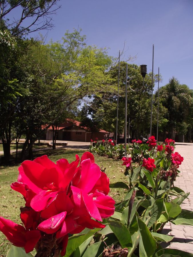 Parque Municipal