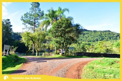 Caminho das Accias
