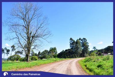 Caminho das Paineiras