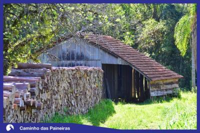 Caminho das Paineiras