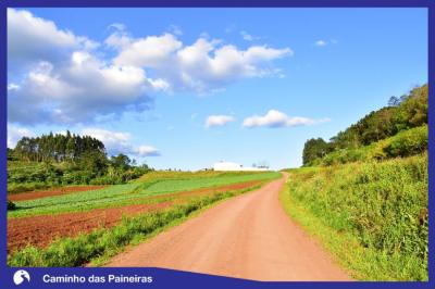 Caminho das Paineiras