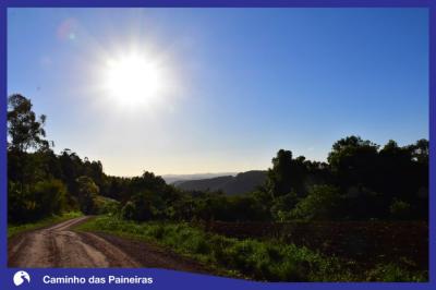 Caminho das Paineiras