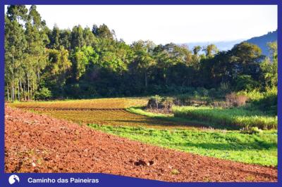 Caminho das Paineiras