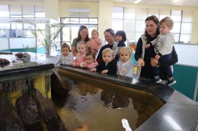 Mini Turistas fazem passeio e visitam Prefeitura