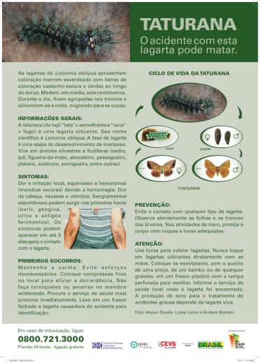 Informativo em Sade